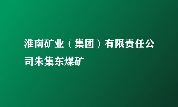 淮南矿业（集团）有限责任公司朱集东煤矿