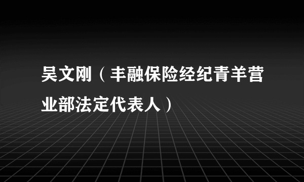 吴文刚（丰融保险经纪青羊营业部法定代表人）