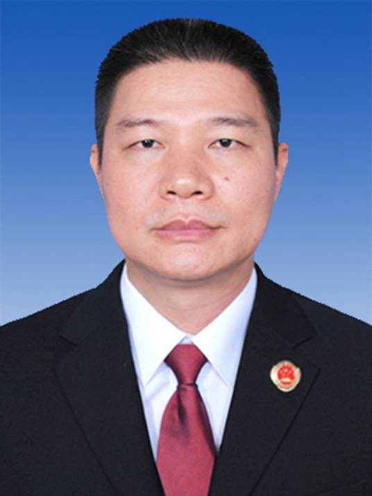 陈旭（海南省人民检察院检察委员会专职委员、一级高级检察官，海南省委第八巡视组组长）