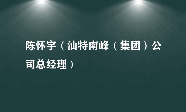 陈怀宇(汕特南峰(集团)公司总经理)
