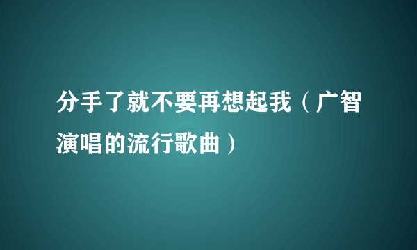 分手了就不要再想起我（广智演唱的流行歌曲）
