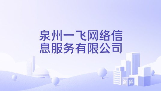 泉州一飞网络信息服务有限公司