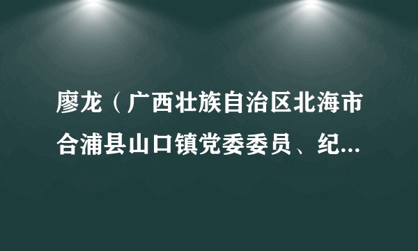 廖龙（广西壮族自治区北海市合浦县山口镇党委委员、纪委书记）