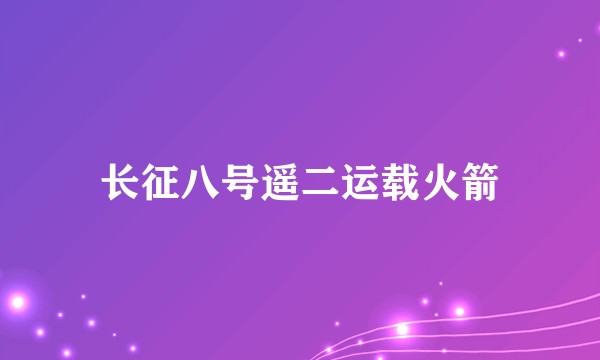 长征八号遥二运载火箭