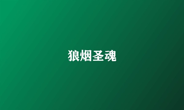 狼烟圣魂