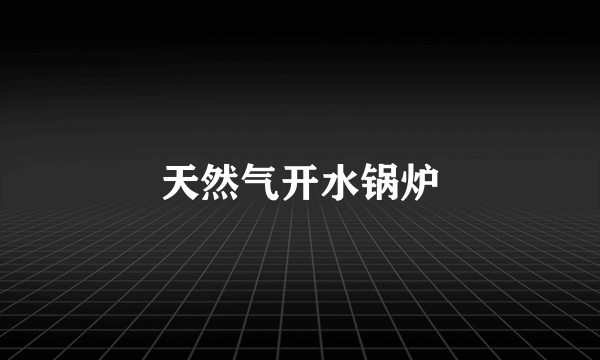 天然气开水锅炉