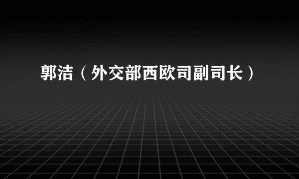 郭洁（外交部西欧司副司长）