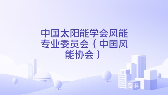 中国太阳能学会风能专业委员会（中国风能协会）