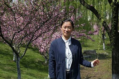 倪敏（南京审计大学政府审计学院教师）