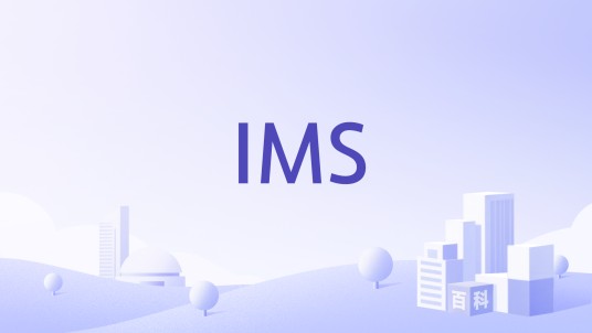 IMS（MEGASTAR公司的独立媒体运作部门）