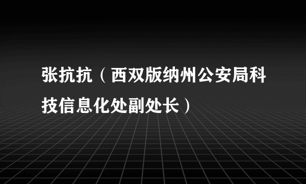 张抗抗（西双版纳州公安局科技信息化处副处长）