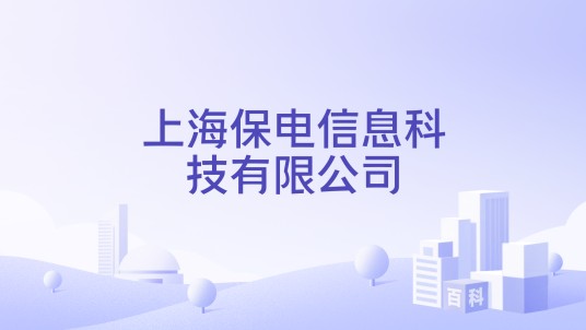 上海保电信息科技有限公司