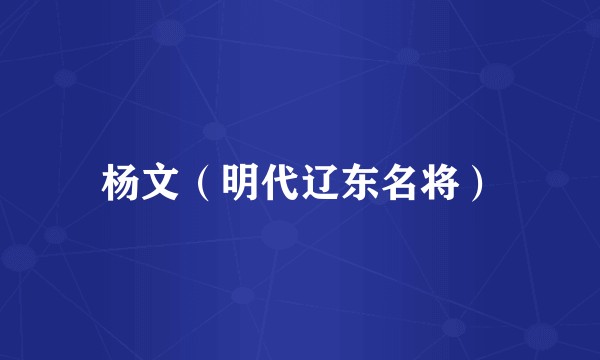 杨文（明代辽东名将）