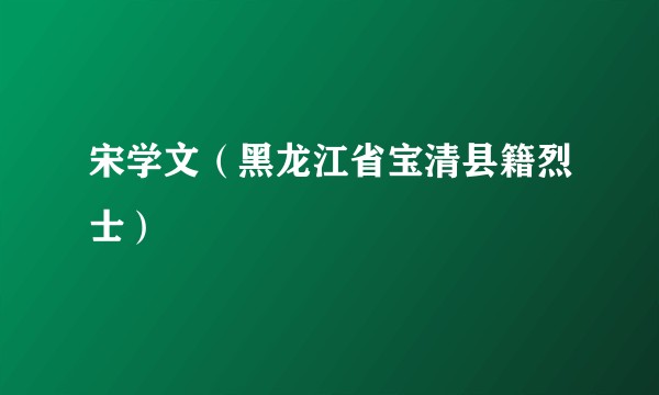 宋学文(黑龙江省宝清县籍烈士)
