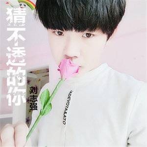猜不透的你（刘志强演唱歌曲）