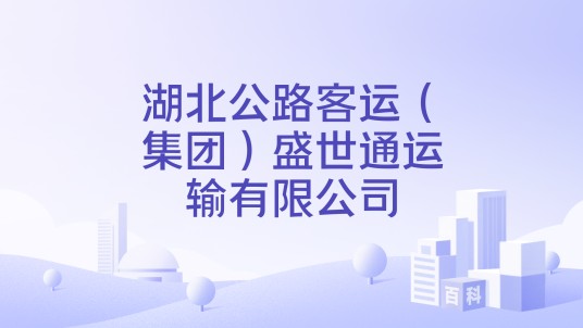 湖北公路客运（集团）盛世通运输有限公司