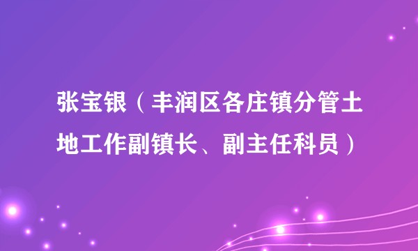 张宝银（丰润区各庄镇分管土地工作副镇长、副主任科员）