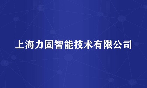 上海力固智能技术有限公司