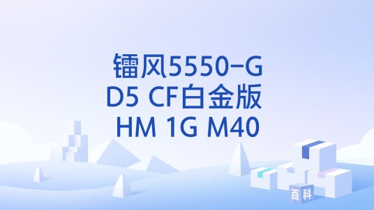 镭风5550-GD5 CF白金版 HM 1G M40