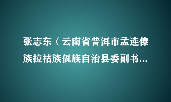 张志东（云南省普洱市孟连傣族拉祜族佤族自治县委副书记、县长，孟连（勐阿）边合区党工委副书记、管委会主任）