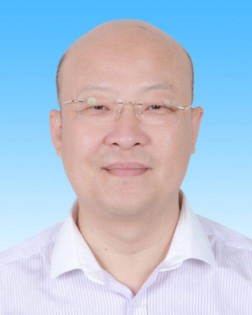 董震（北京市大兴区市场监管局党组成员、副局长、三级调研员）