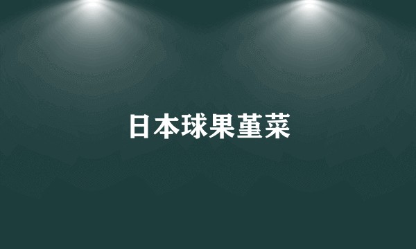 日本球果堇菜