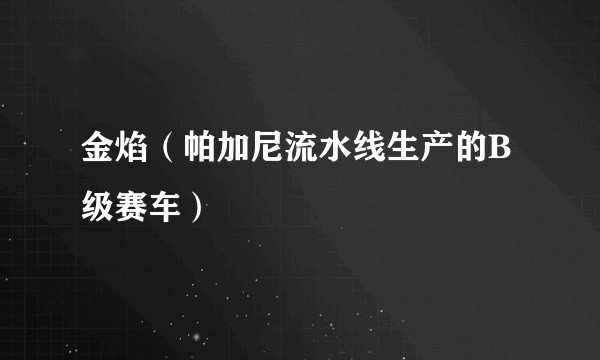 金焰（帕加尼流水线生产的B级赛车）