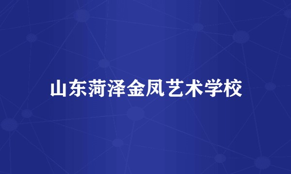 山东菏泽金凤艺术学校