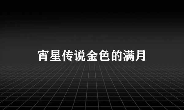 宵星传说金色的满月
