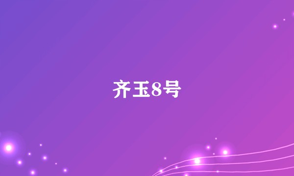 齐玉8号