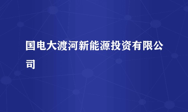 国电大渡河新能源投资有限公司
