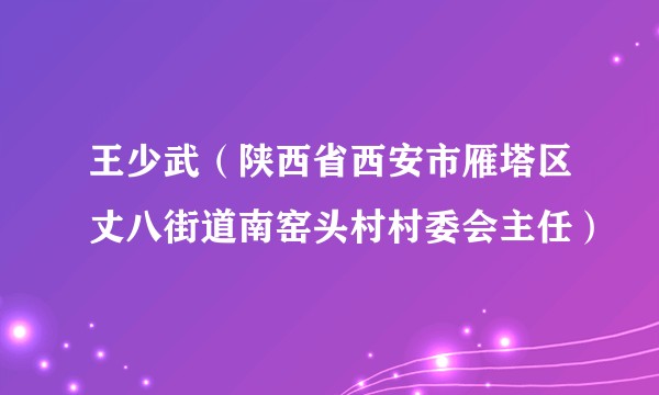王少武（陕西省西安市雁塔区丈八街道南窑头村村委会主任）