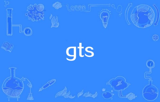 gts（网络流行语）