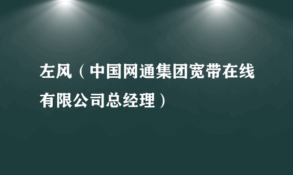 左风（中国网通集团宽带在线有限公司总经理）