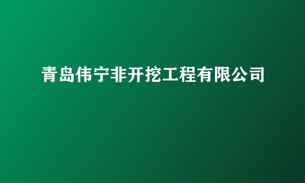 青岛伟宁非开挖工程有限公司