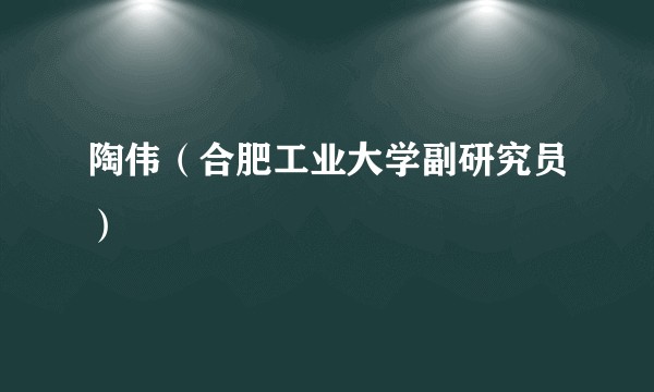 陶伟(合肥工业大学副研究员)