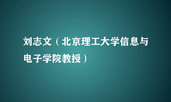 刘志文（北京理工大学信息与电子学院教授）