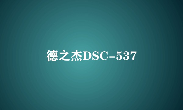 德之杰DSC-537