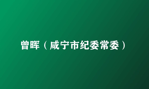 曾晖（咸宁市纪委常委）