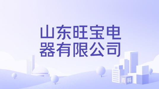 山东旺宝电器有限公司