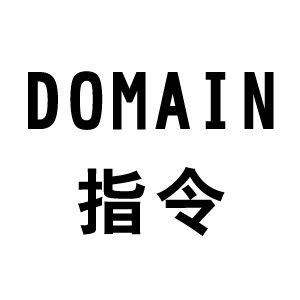 Domain（高级搜索指令）