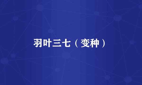 羽叶三七（变种）