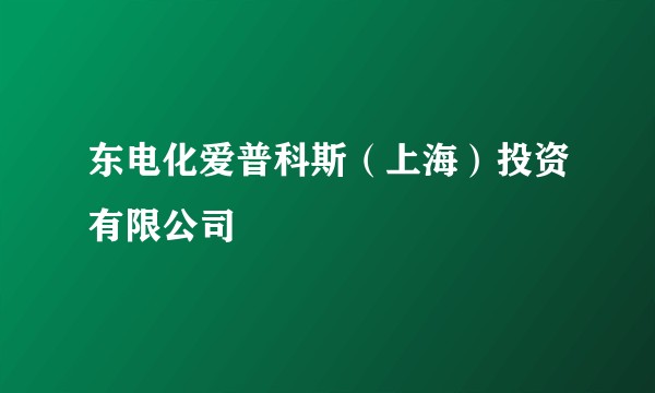 东电化爱普科斯（上海）投资有限公司
