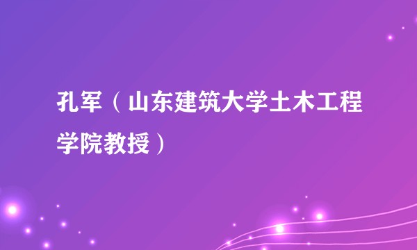 孔军（山东建筑大学土木工程学院教授）