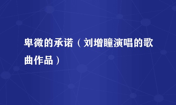 卑微的承诺（刘增瞳演唱的歌曲作品）