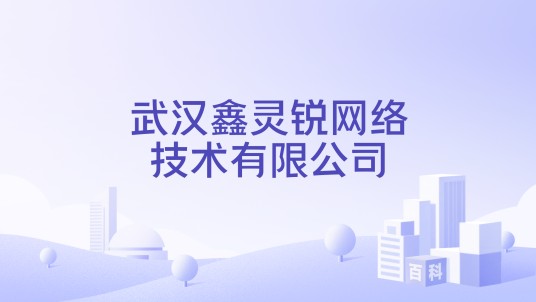 武汉鑫灵锐网络技术有限公司