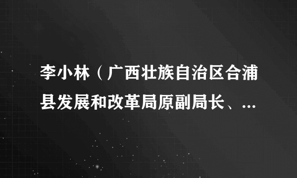 李小林（广西壮族自治区合浦县发展和改革局原副局长、合浦县粮食和物资储备局局长）