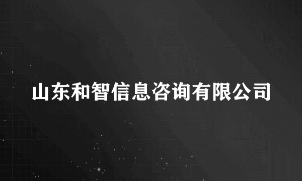 山东和智信息咨询有限公司