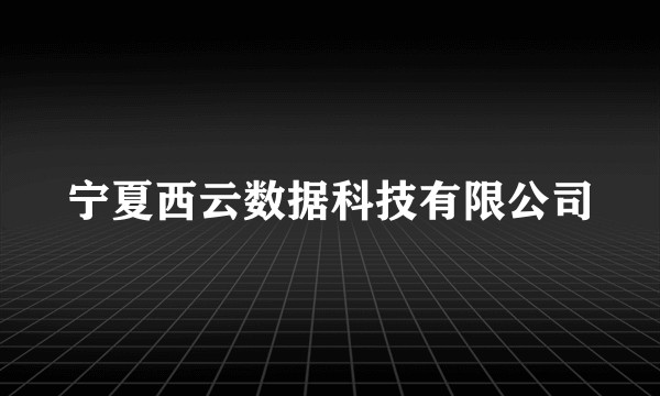 宁夏西云数据科技有限公司