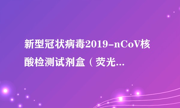 新型冠状病毒2019-nCoV核酸检测试剂盒（荧光PCR法）